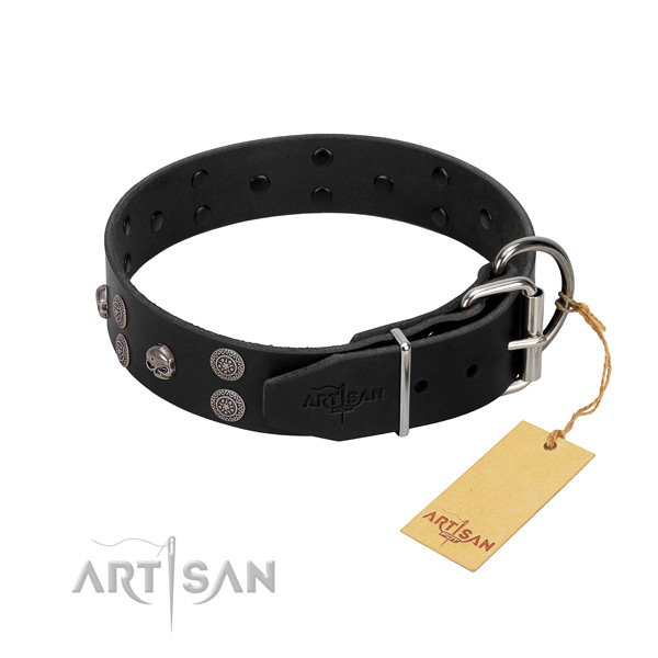 Top notch full grain leather dog collar with decorations for walking