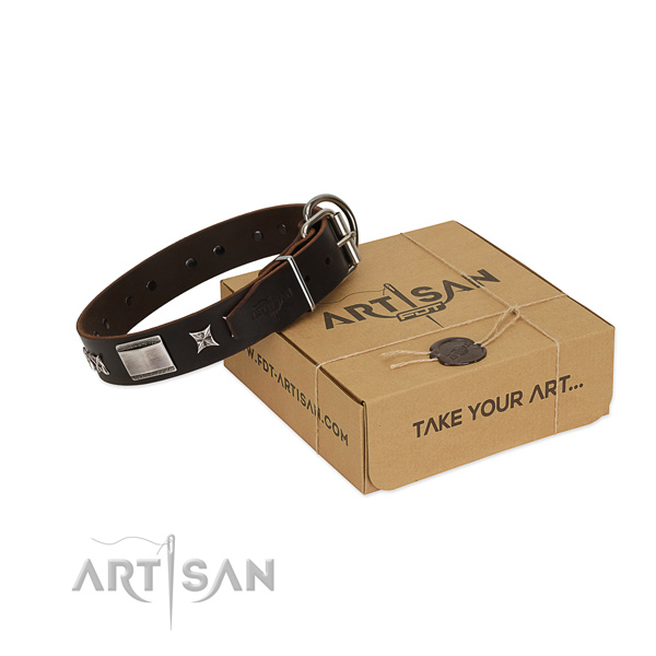 Stylish design collar of full grain natural leather for your attractive canine