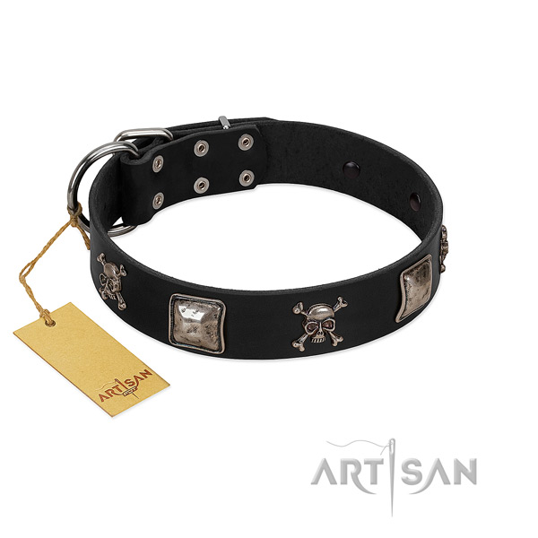 Fashionable embellished leather dog collar