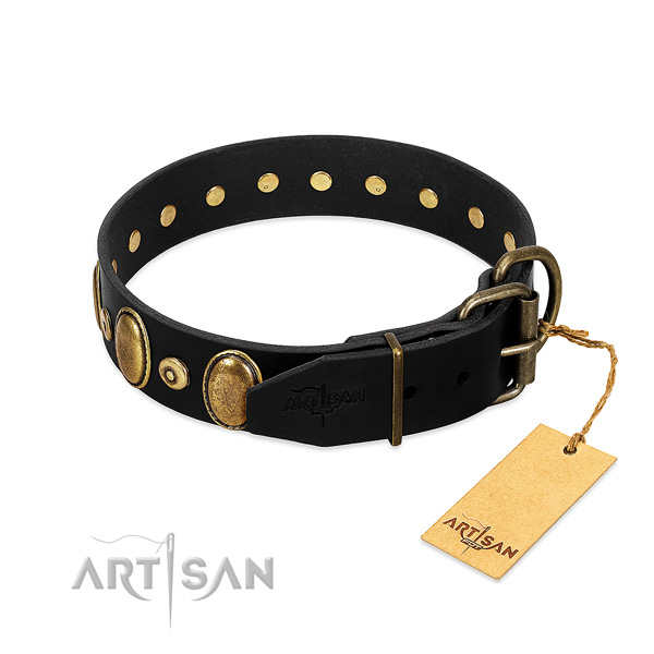 Rust-proof traditional buckle on everyday walking collar for your doggie