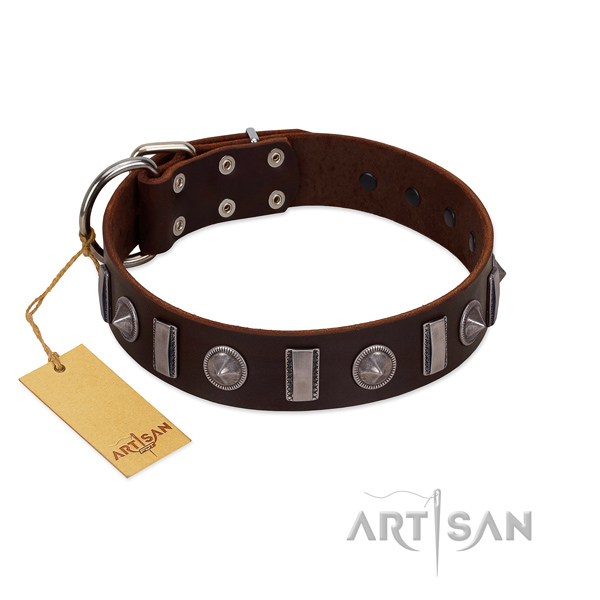 Best quality genuine leather dog collar with studs for comfy wearing