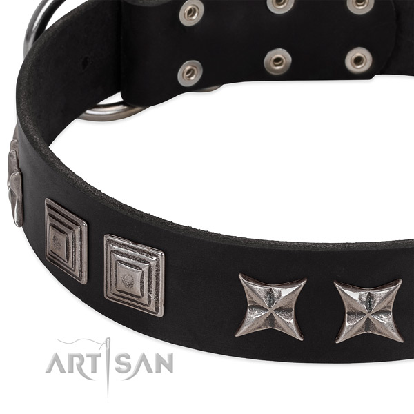 Daily walking full grain leather dog collar with top notch adornments