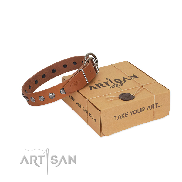 Comfortable wearing leather dog collar with significant adornments