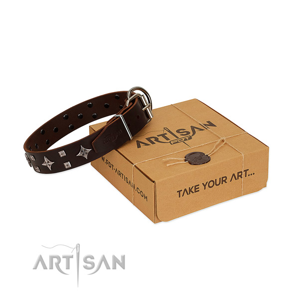 Exquisite genuine leather collar for your canine stylish walking