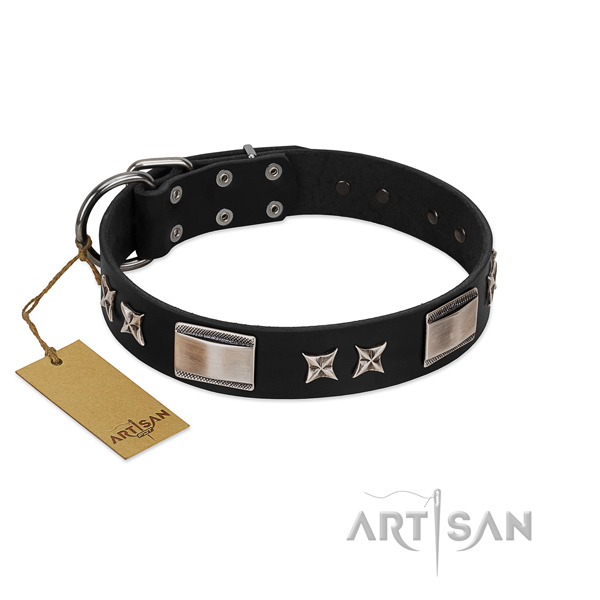 Significant dog collar of natural leather