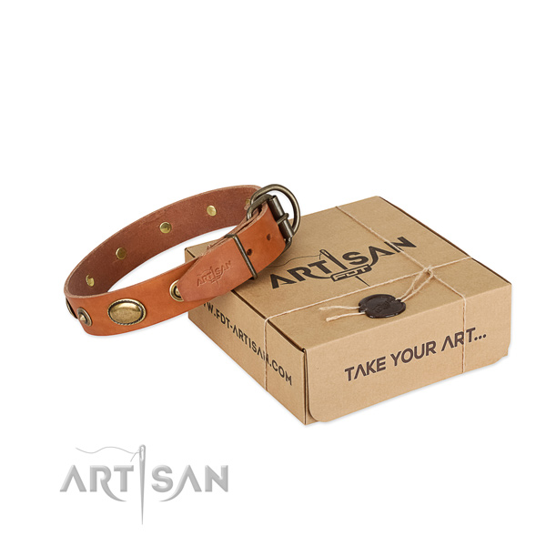 Reliable embellishments on leather dog collar for your pet
