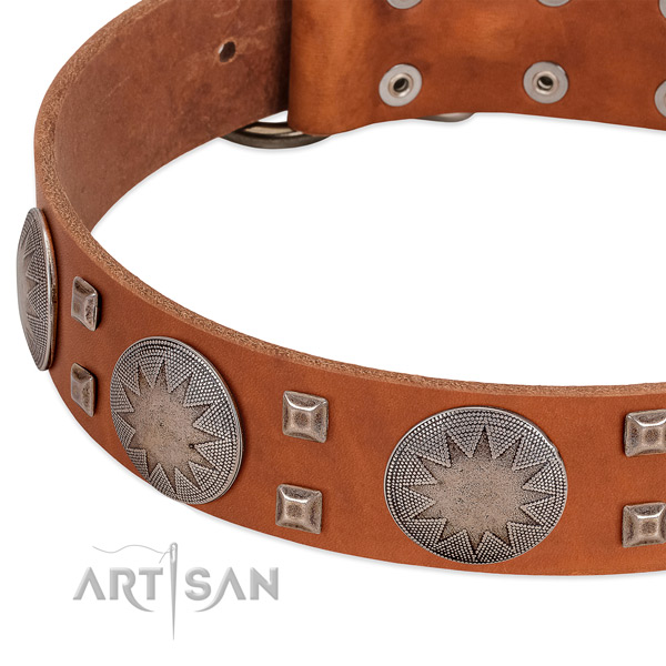 Everyday use quality full grain genuine leather dog collar