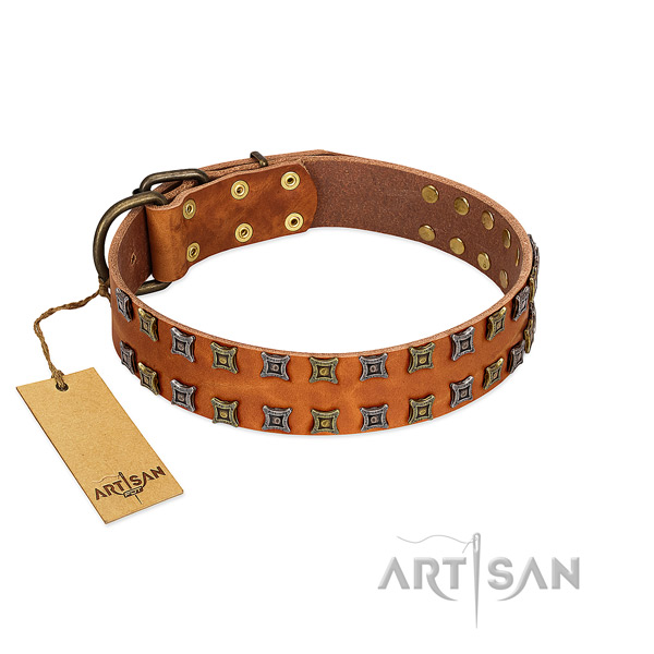 Gentle to touch full grain natural leather dog collar with adornments for your pet