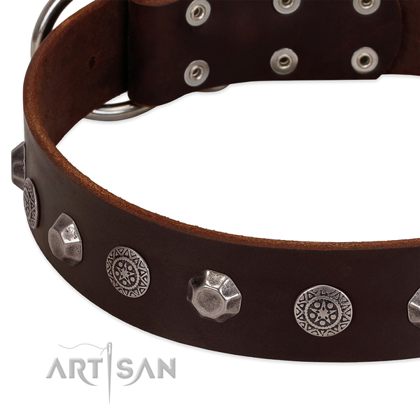 Adorned full grain natural leather dog collar for fancy walking