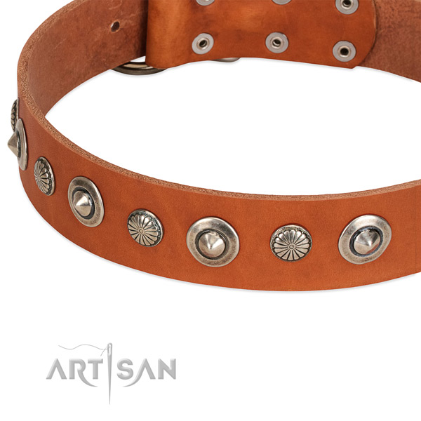 Remarkable adorned dog collar of fine quality natural leather