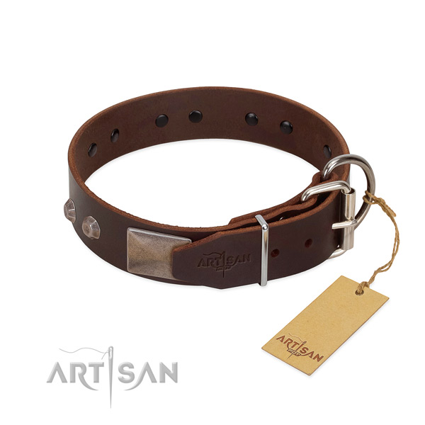 Impressive genuine leather dog collar for stylish walking your four-legged friend