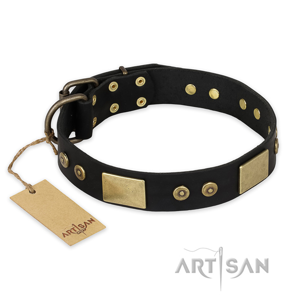 Stylish genuine leather dog collar for stylish walking