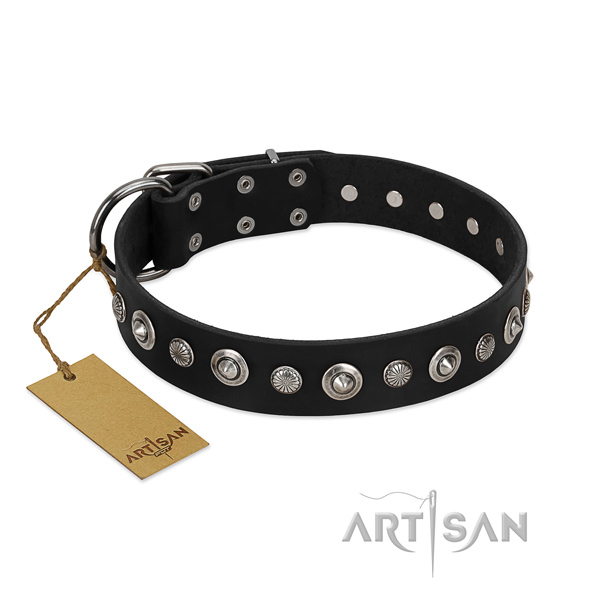 Reliable leather dog collar with top notch embellishments