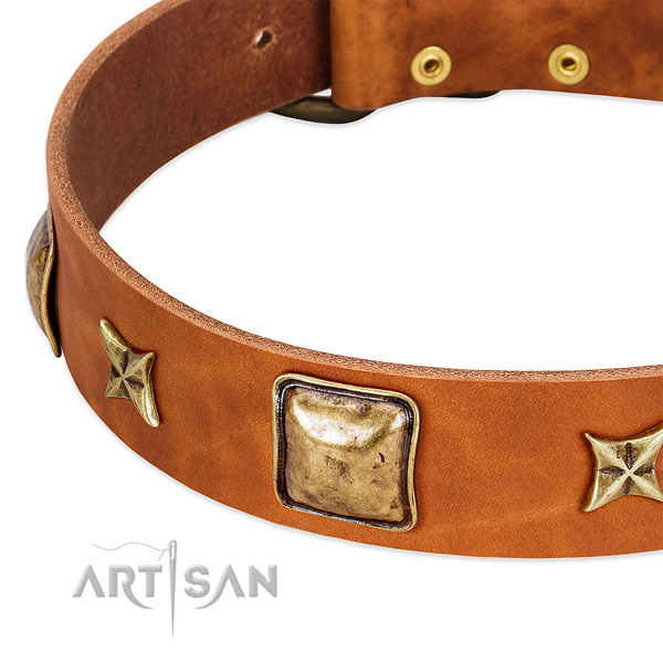 Strong adornments on full grain genuine leather dog collar for your four-legged friend