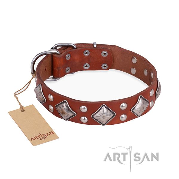 Fancy walking embellished dog collar with corrosion proof fittings