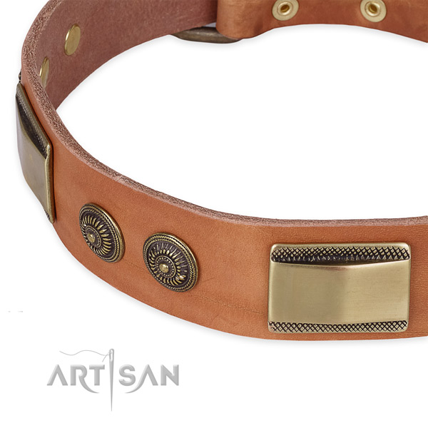 Strong embellishments on full grain natural leather dog collar for your dog
