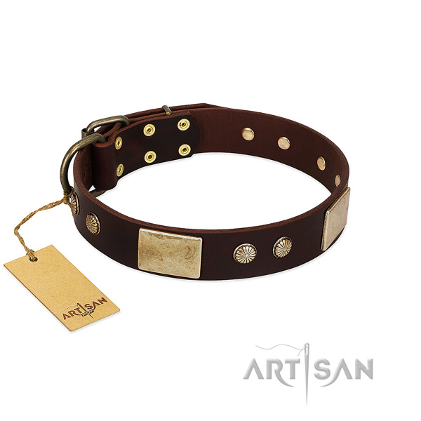 Easy to adjust leather dog collar for daily walking your four-legged friend