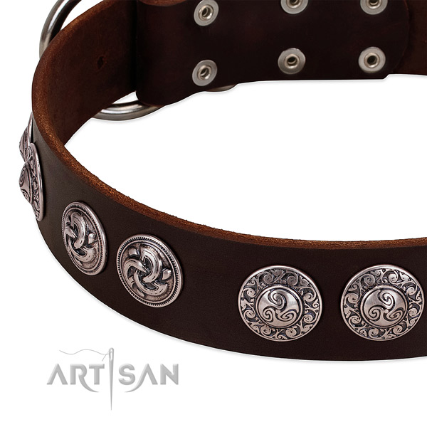 Amazing leather collar for your dog stylish walks