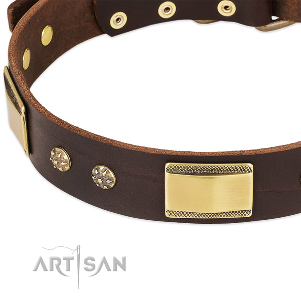 Rust-proof embellishments on genuine leather dog collar for your pet