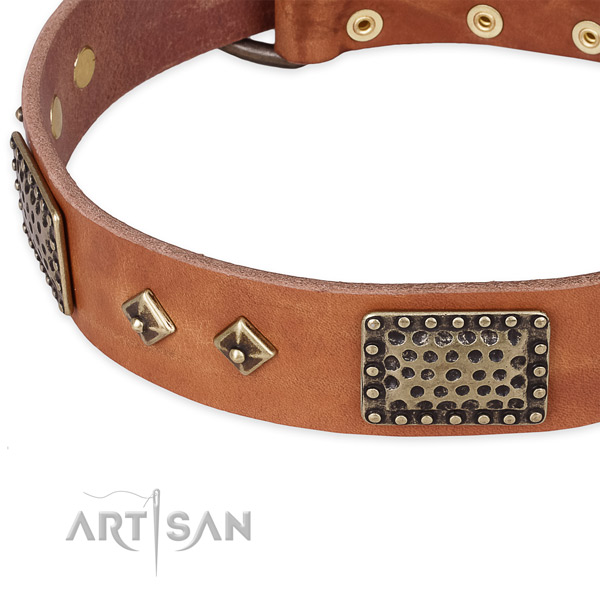 Strong decorations on natural leather dog collar for your four-legged friend