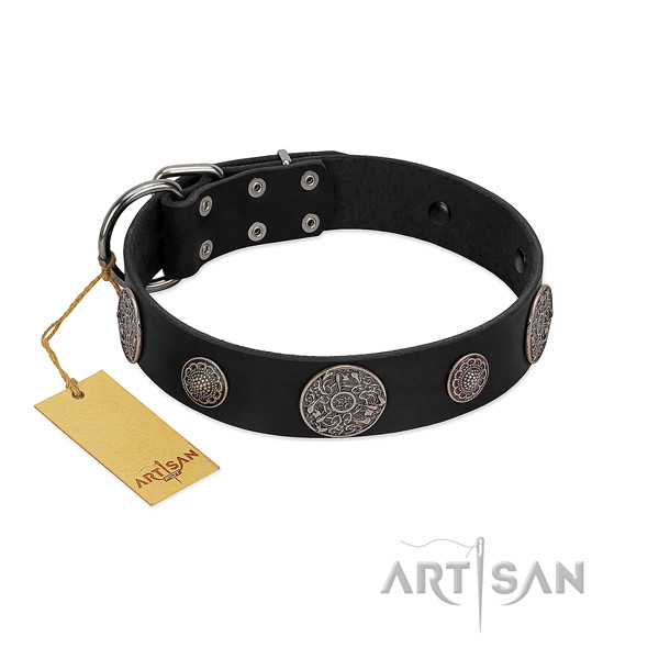 Incredible full grain leather collar for your stylish four-legged friend