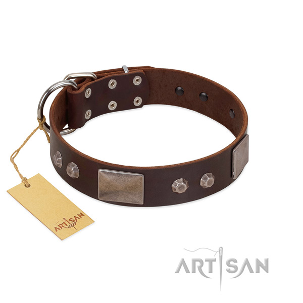 Easy to adjust full grain leather dog collar with rust-proof traditional buckle