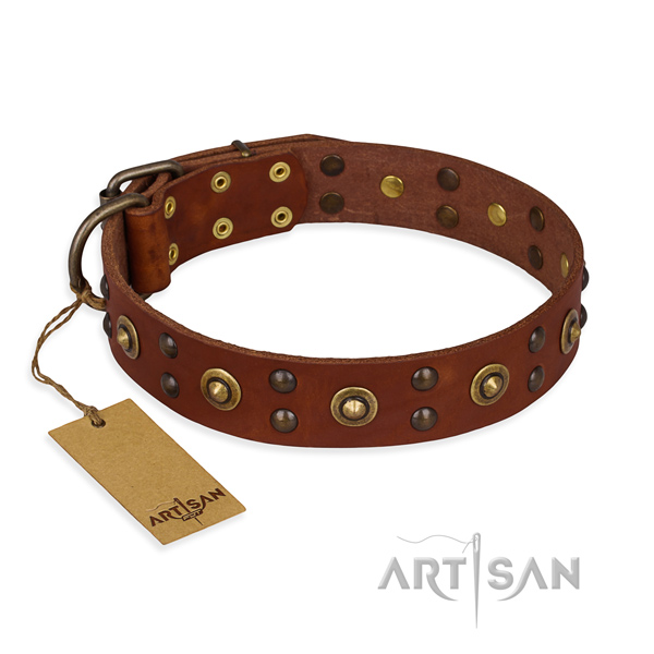 Amazing genuine leather dog collar with reliable buckle