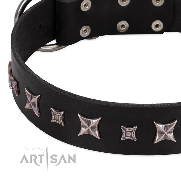 Easy wearing full grain leather dog collar with unique adornments