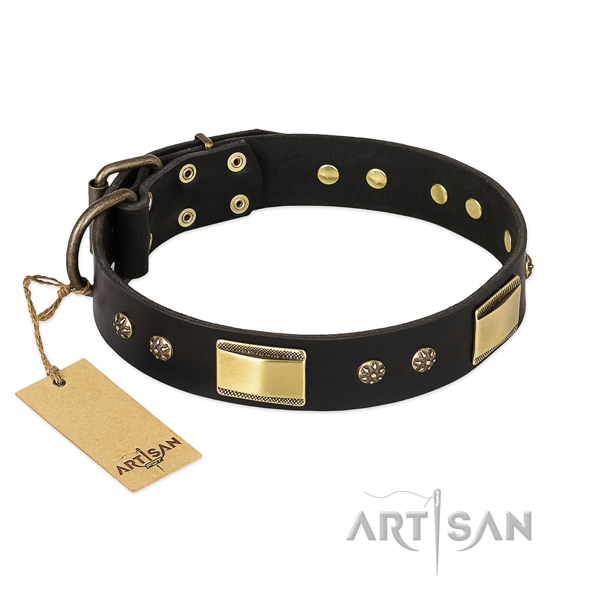 Stylish natural leather collar for your doggie