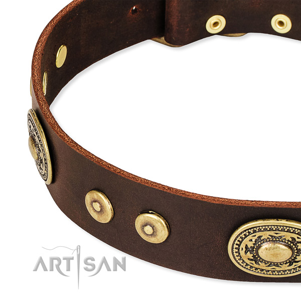 Embellished dog collar made of top rate leather