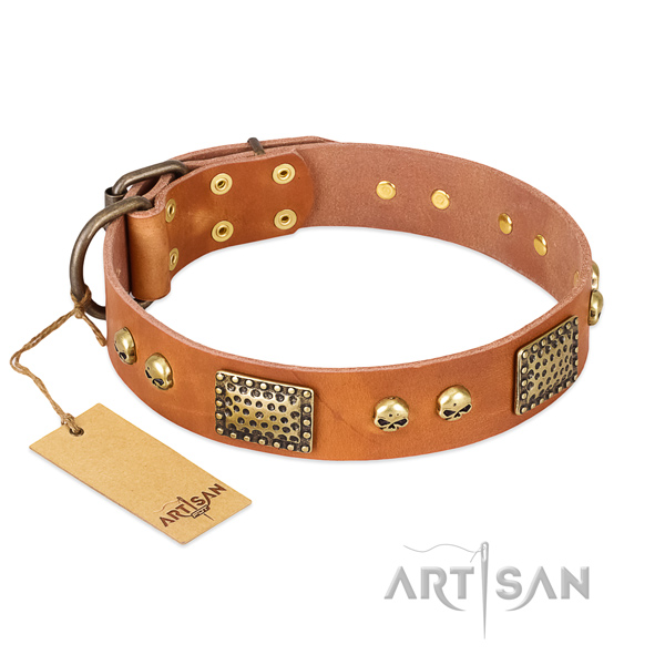 Adjustable full grain leather dog collar for stylish walking your pet