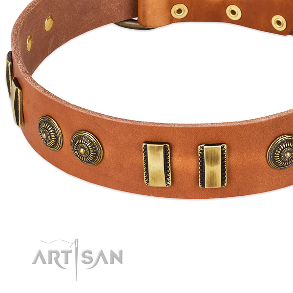 Corrosion proof D-ring on genuine leather dog collar for your canine