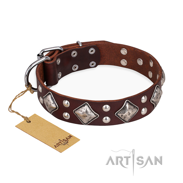Easy wearing easy to adjust dog collar with durable hardware