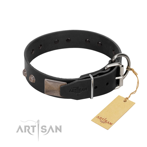 Extraordinary full grain leather dog collar for daily walking your four-legged friend