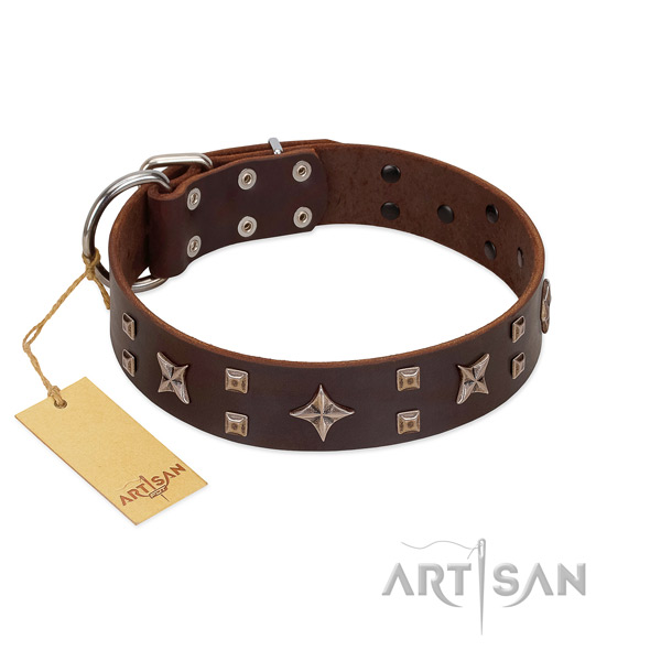 Walking leather dog collar with trendy studs