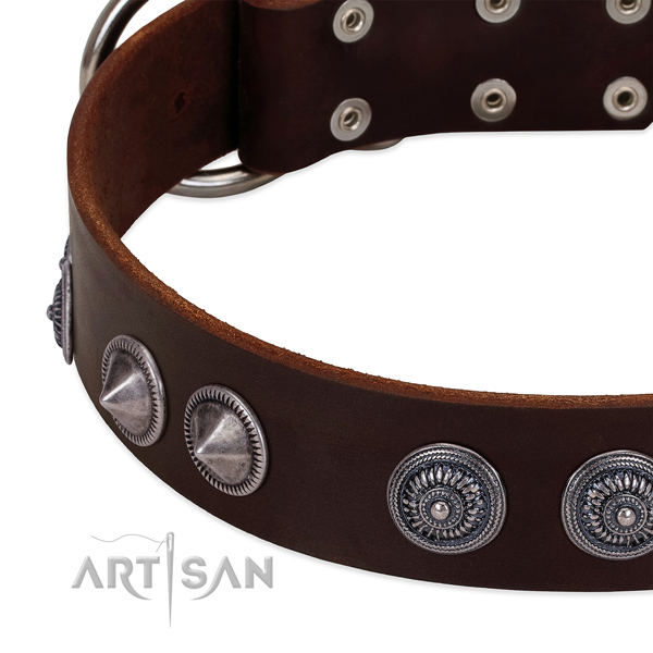 Top rate full grain genuine leather dog collar with remarkable embellishments