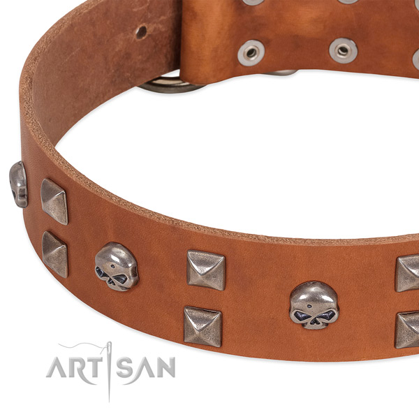 Reliable leather dog collar created for your pet