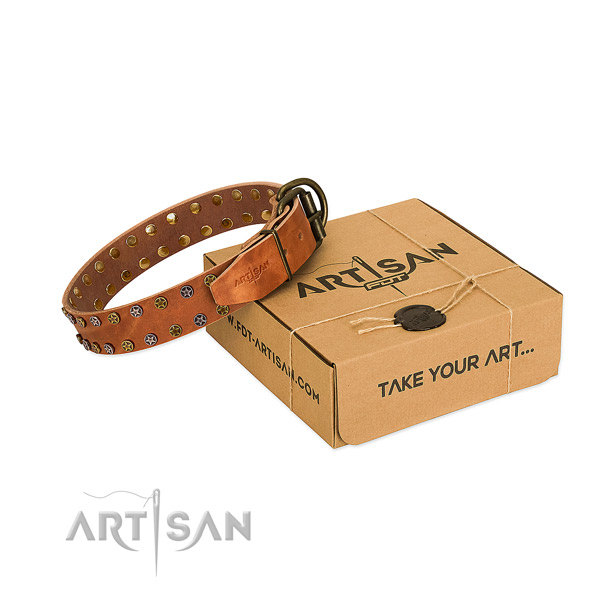 Everyday use top rate full grain genuine leather dog collar with adornments