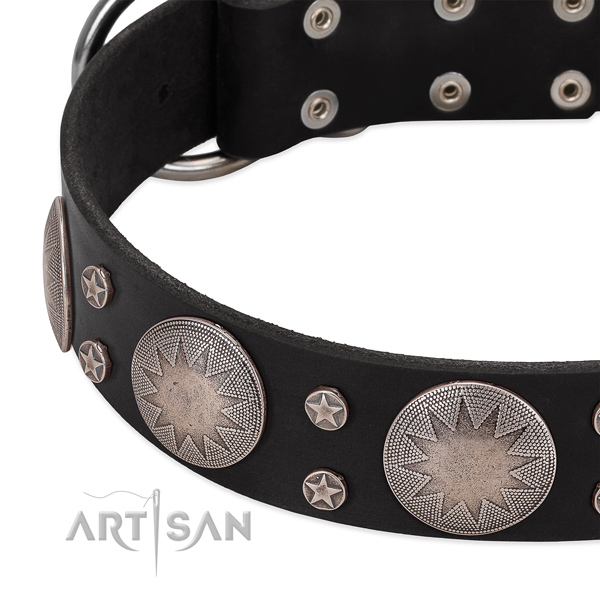 Best quality full grain natural leather dog collar with adornments for your stylish pet