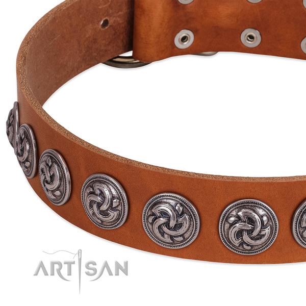 Unusual genuine leather collar for your canine stylish walks