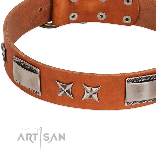 Quality natural leather dog collar with rust-proof fittings