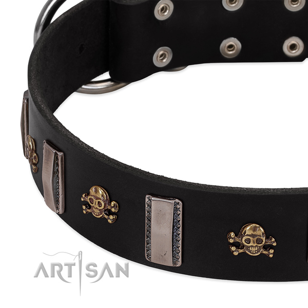 Full grain leather dog collar of quality material with significant decorations