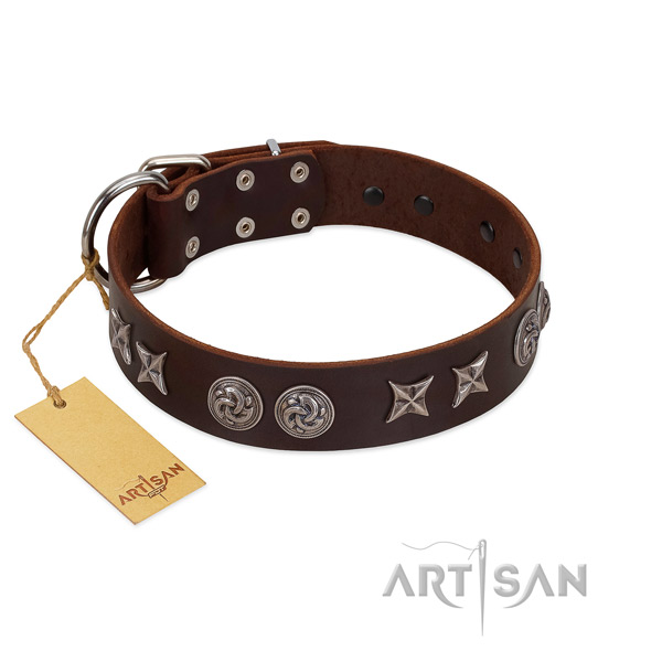 Studded genuine leather dog collar for fancy walking