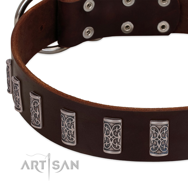 Top rate full grain natural leather dog collar handmade for your four-legged friend