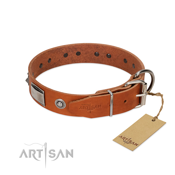 Trendy full grain leather collar with studs for your dog