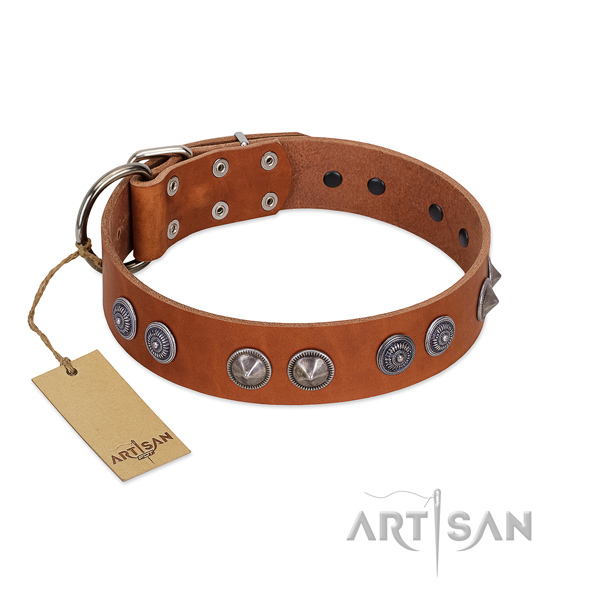Reliable full grain leather collar with studs for your dog