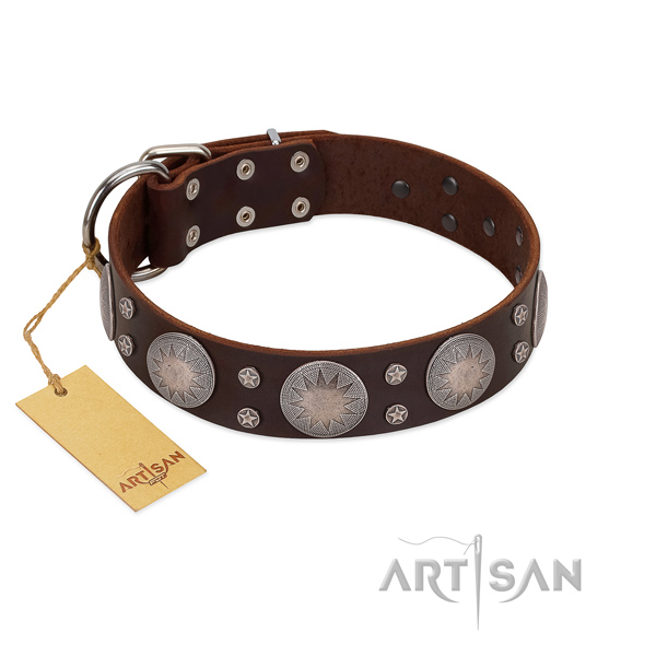 Remarkable studded full grain leather dog collar