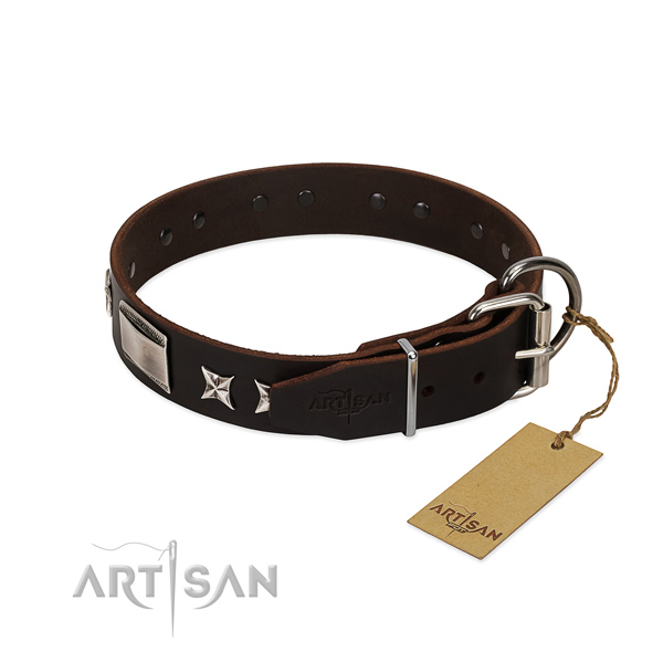 Stylish design collar of leather for your attractive four-legged friend
