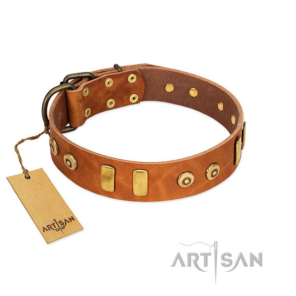 Full grain leather dog collar with unique decorations for everyday walking