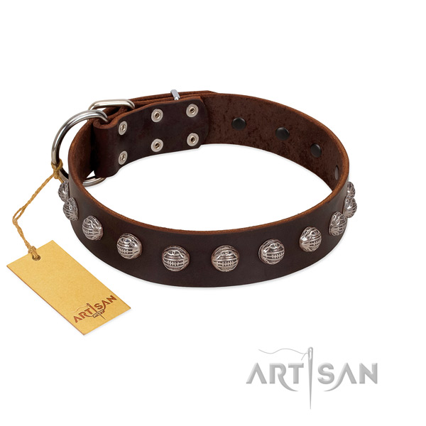 Strong hardware on unusual full grain leather dog collar
